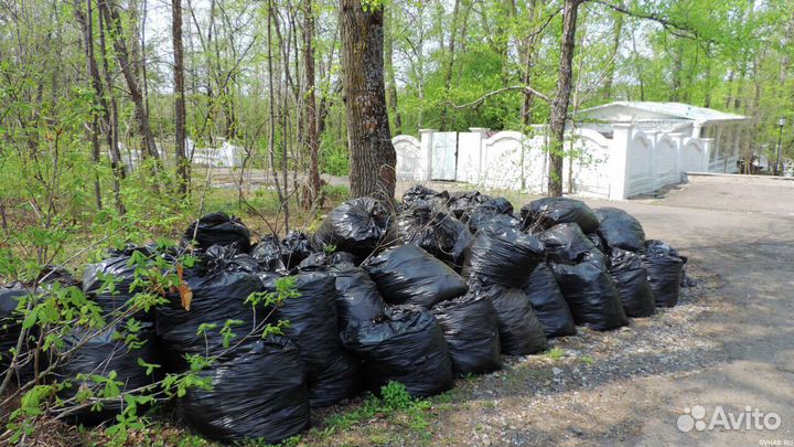 Вывоз строительного мусора с грузчиками