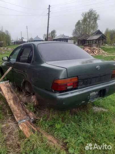 Toyota corolla100