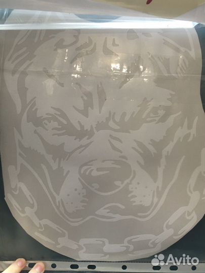 Виниловые наклейки на авто