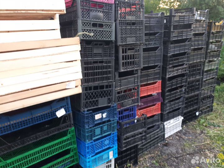 Пластиковые ящики для овощей бу