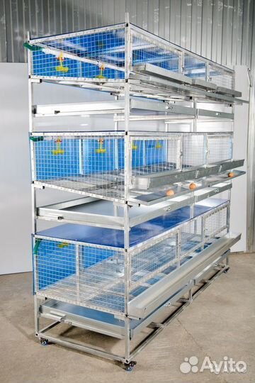 Клетки для бройлеров