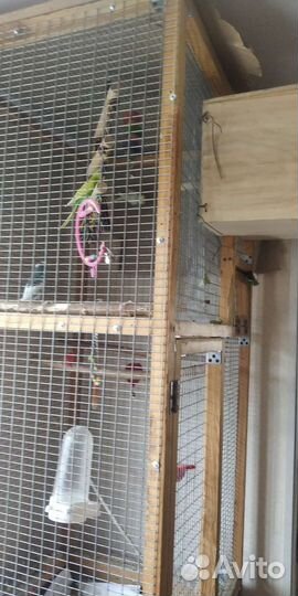 Большая клетка вольер для птиц или грызунов