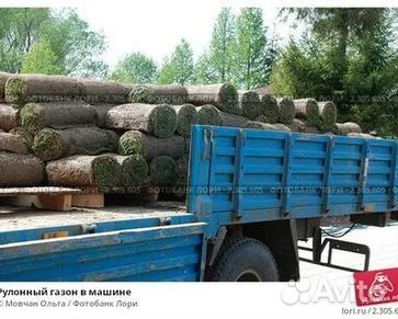 Гидропосев