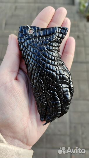 Лапа крокодила