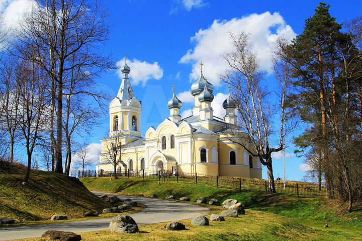 Участок 12 сот. (СНТ, ДНП)