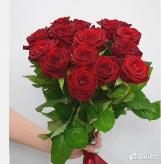 Букет из 15 розы Цветы Розы