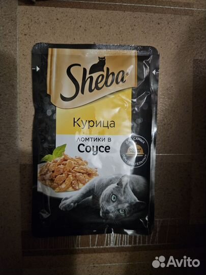 Влажный корм для кошек