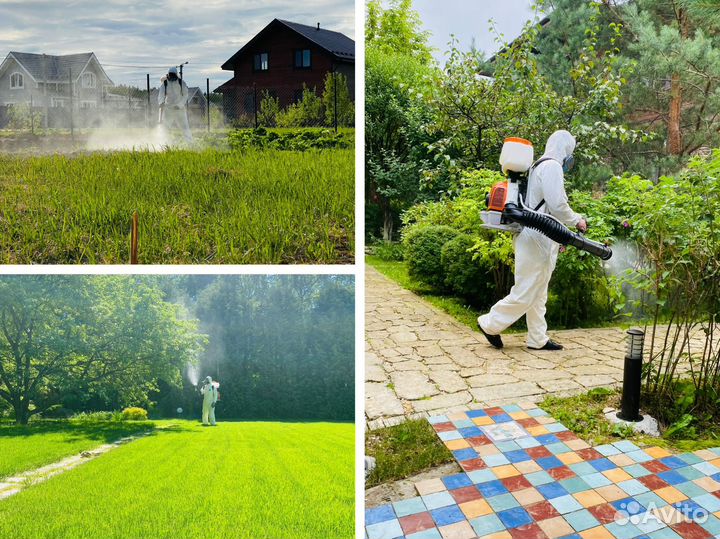 Обработка участка от клещей, дезинфекция