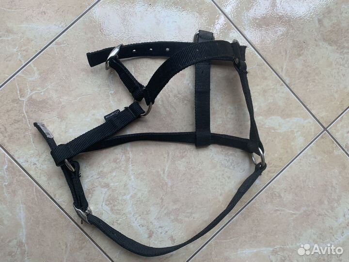 Недоуздок для лошади