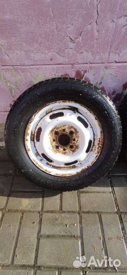 Gislaved Nord Frost 5 175/70 R13 82M