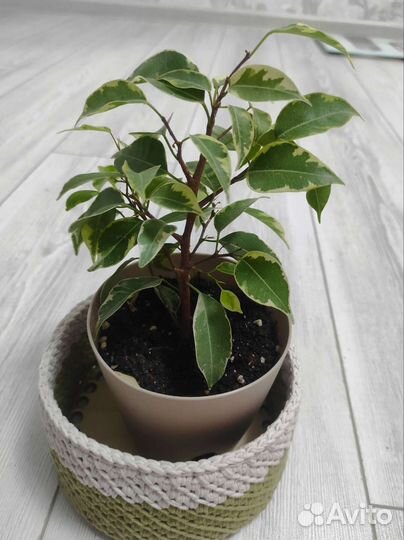 Вязаные корзинки (ручной работы)