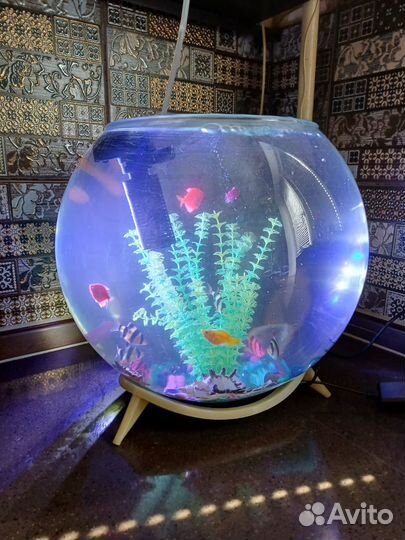 Аквариум