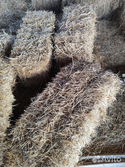 Солома пшеничная в тюках
