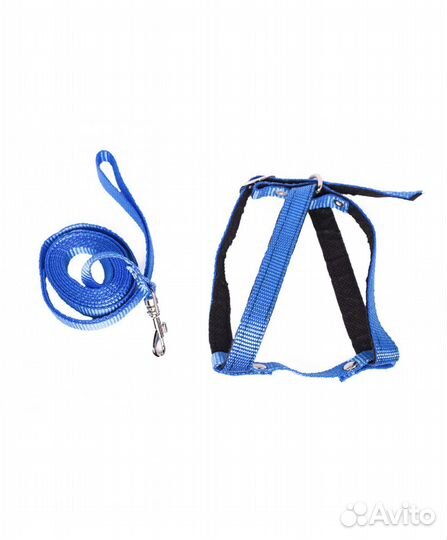 Воротник защитный и поводок