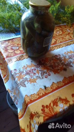 Огурцы соленые и маринованные