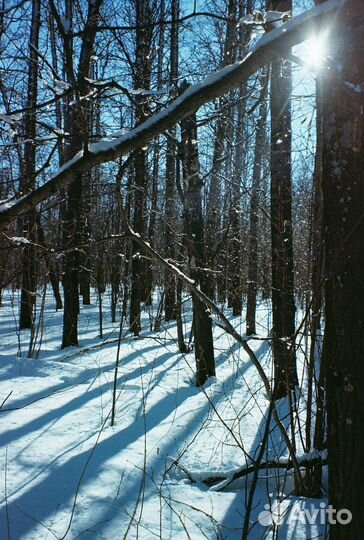 Цветные фотопленки