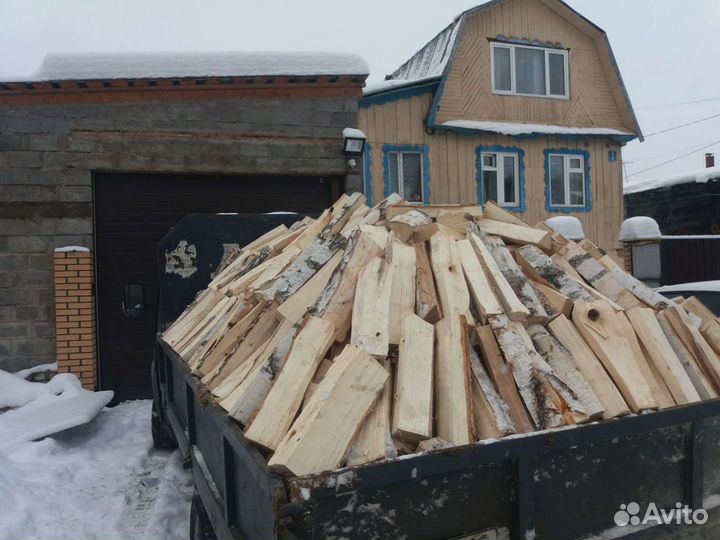 Береза колотая