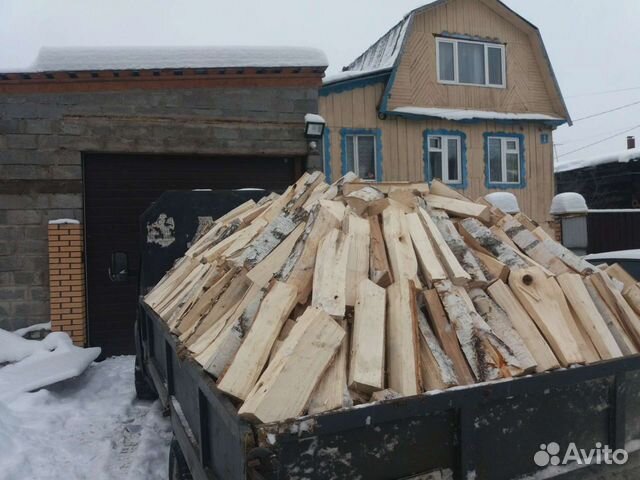 Береза колотая