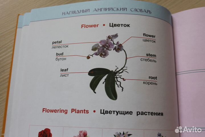 Учебник по английскому Матвеев 5 книг в одной