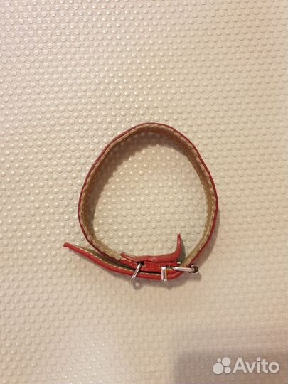 Ошейник для собак мелких пород