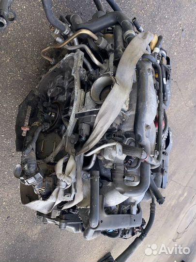 Двигатель EJ204 Subaru Legacy Legacy BL BL5 EJ20-C