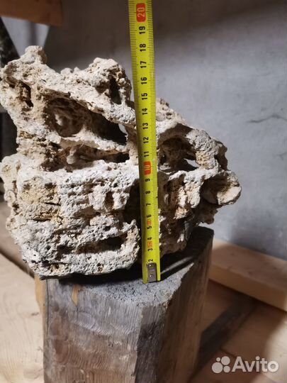 Продам известняковый камень