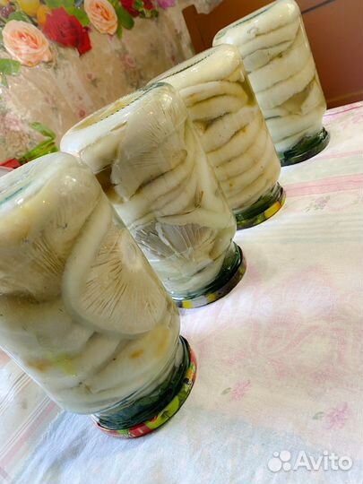 Грузди соленые сбор авг.2023