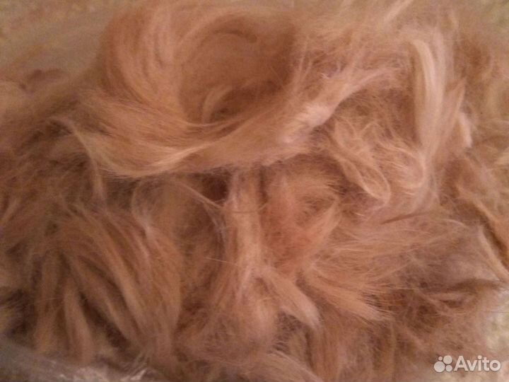 Собачья шерсть