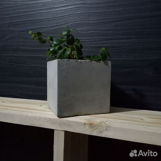 Вазоны, Горшки, Кашпо под заказ из бетона