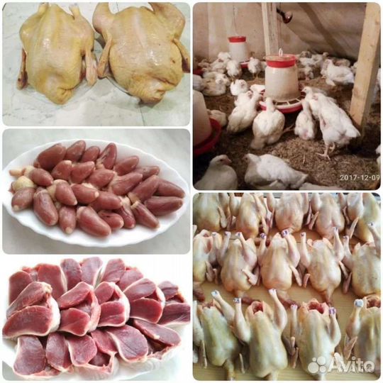 Мясо кур, бройлеров