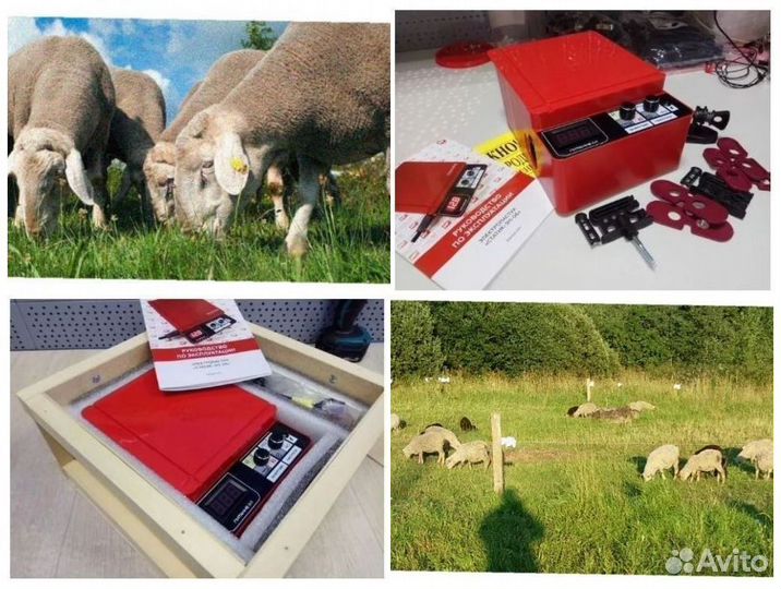 Электропастух