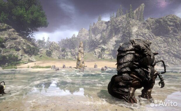 Risen для PS4/PS5 RU