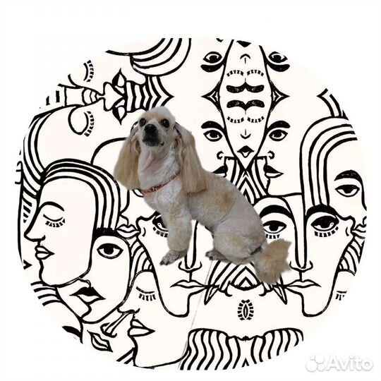 Стрижка собак и кошек, грумер, груминг животных