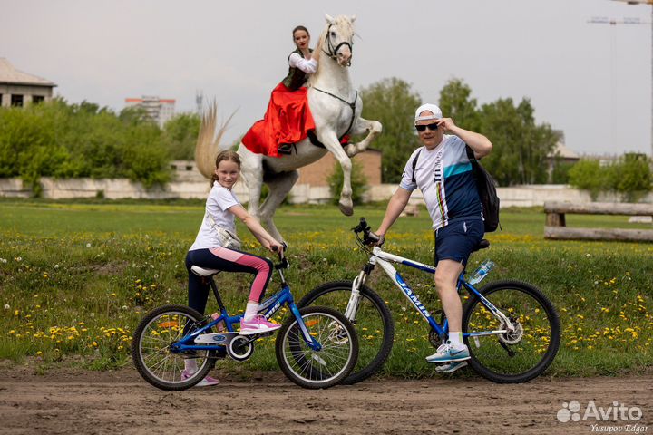 Экскурсии по ипподрому