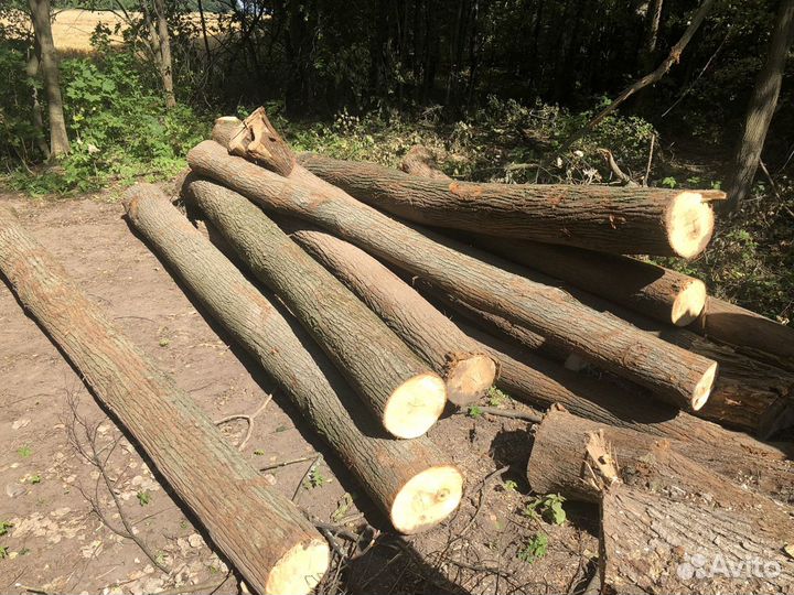 Дуб кругляк 3 сорт