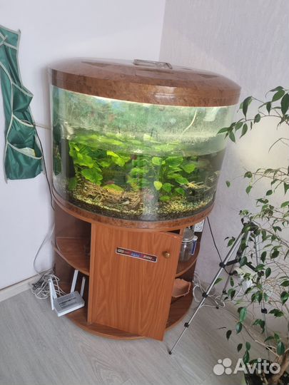 Аквариум с тумбой