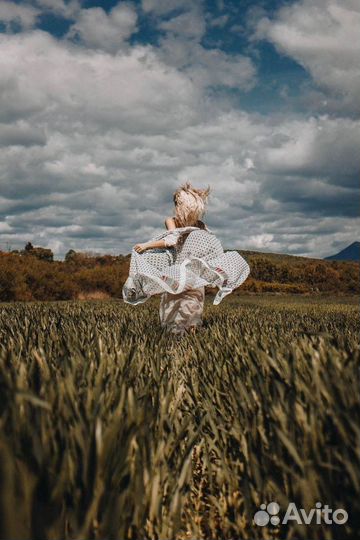 Фотограф + видеограф