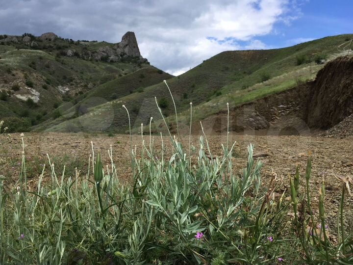 Участок 6,5 сот. (ИЖС)