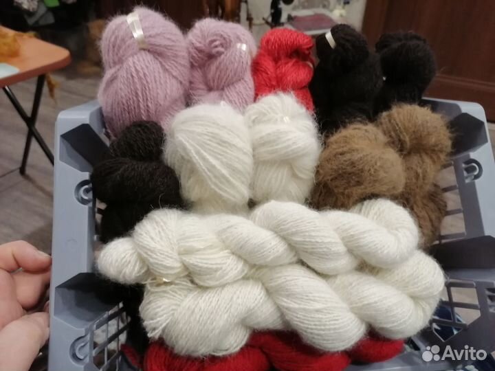 Пряжа из собачьей шерсти