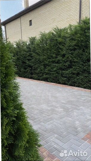 Тротуарная плитка и брусчатка