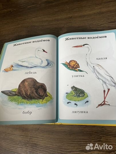 Книга для малышей