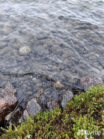 Туры териберка Экскурсия Мурманск