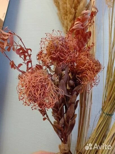 Сухоцветы для рукоделия