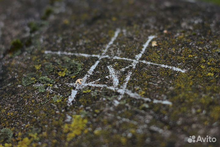 Объектив Zenitar-M 50 1.7