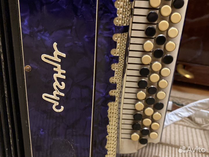 Баян кунгур