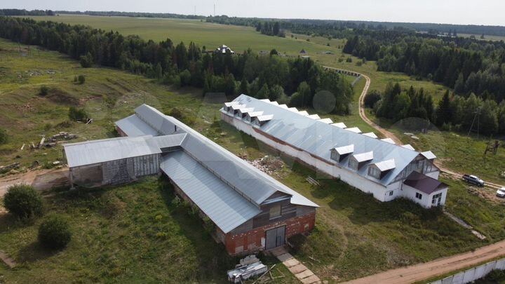 Свободного назначения, 1291 м²