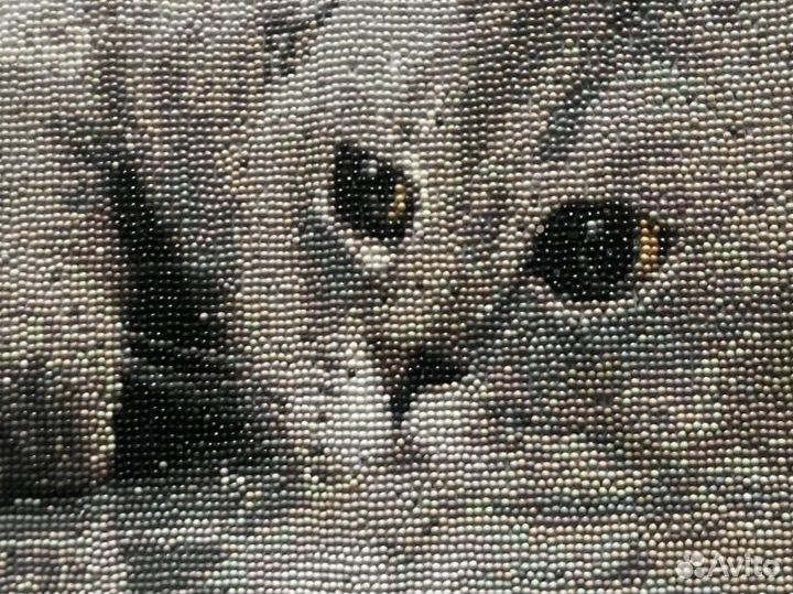 Алмазная мозаика готовая работа