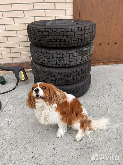 Forward Professional 301 185/75 R16