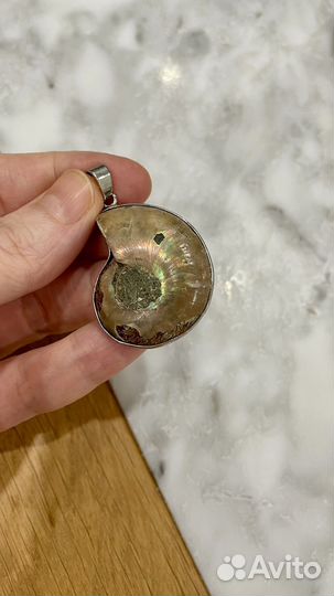 Аммонит подвеска