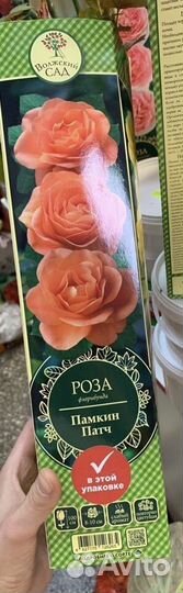 Розы в ассортименте